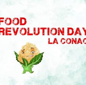 Revolutie in alimentatie