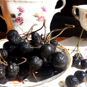 Aronia si toamna inca verde